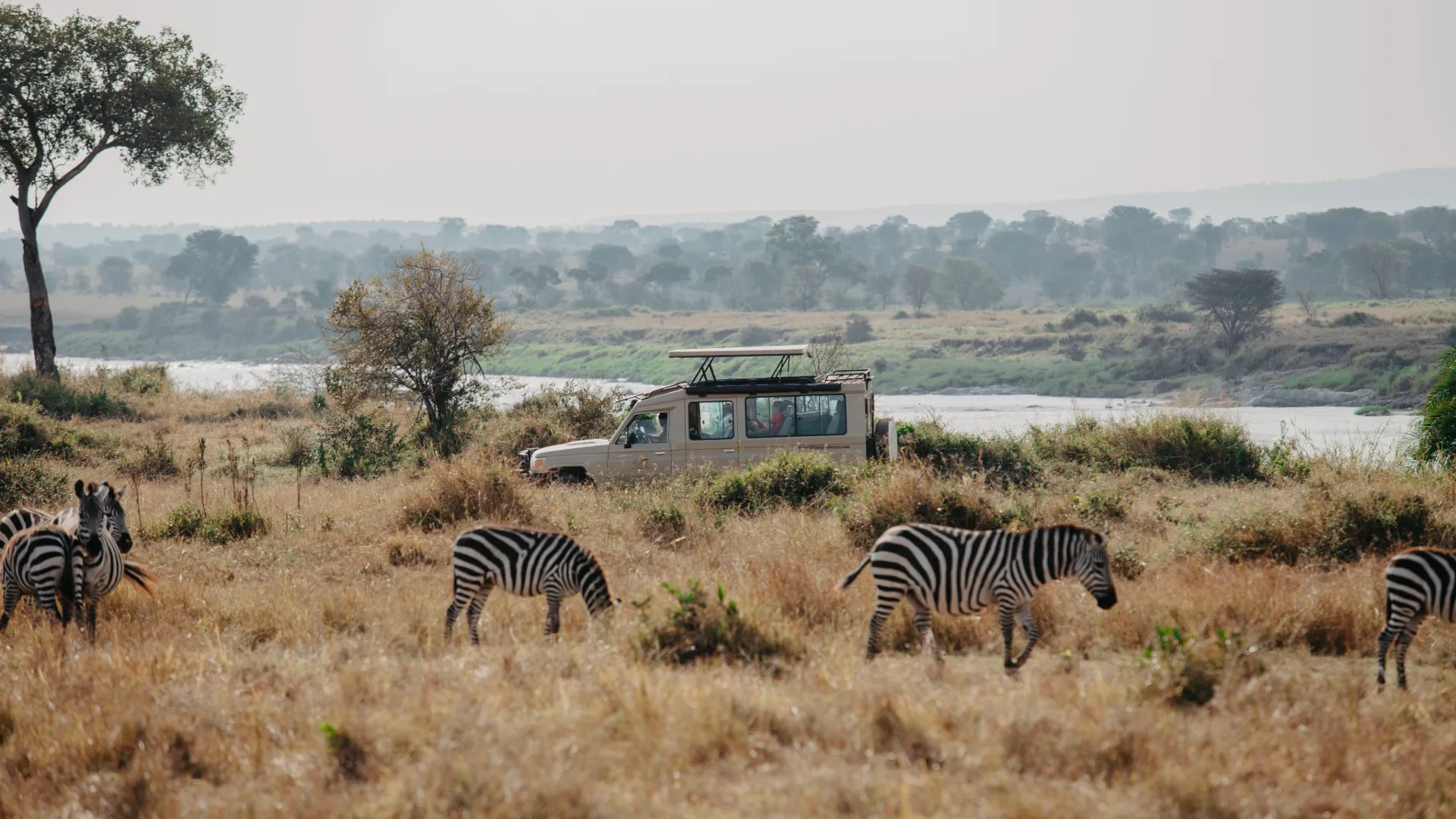 Tanzania Safari Tours Packages