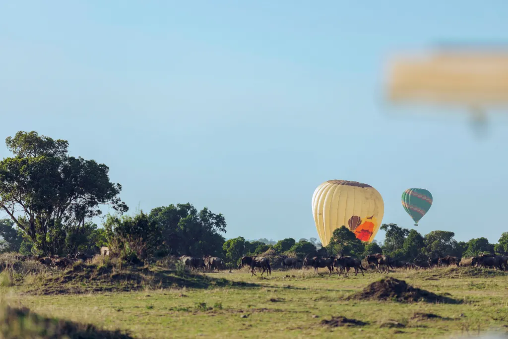 Tanzania Safari Activities