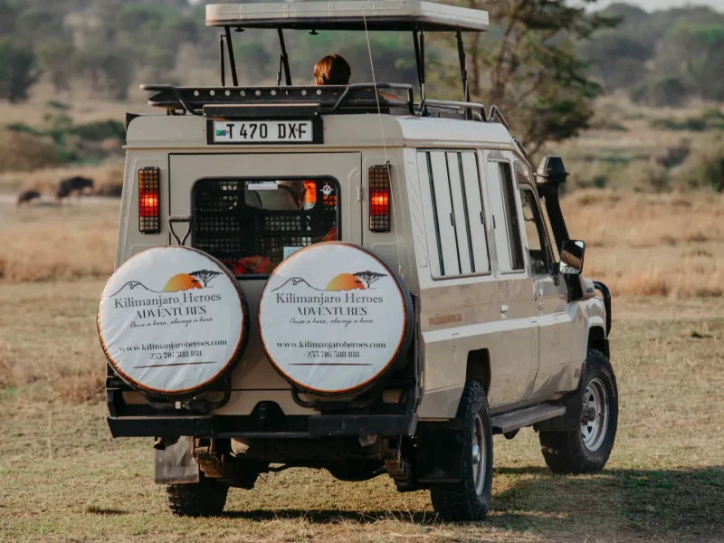 Tanzania Safari Cost