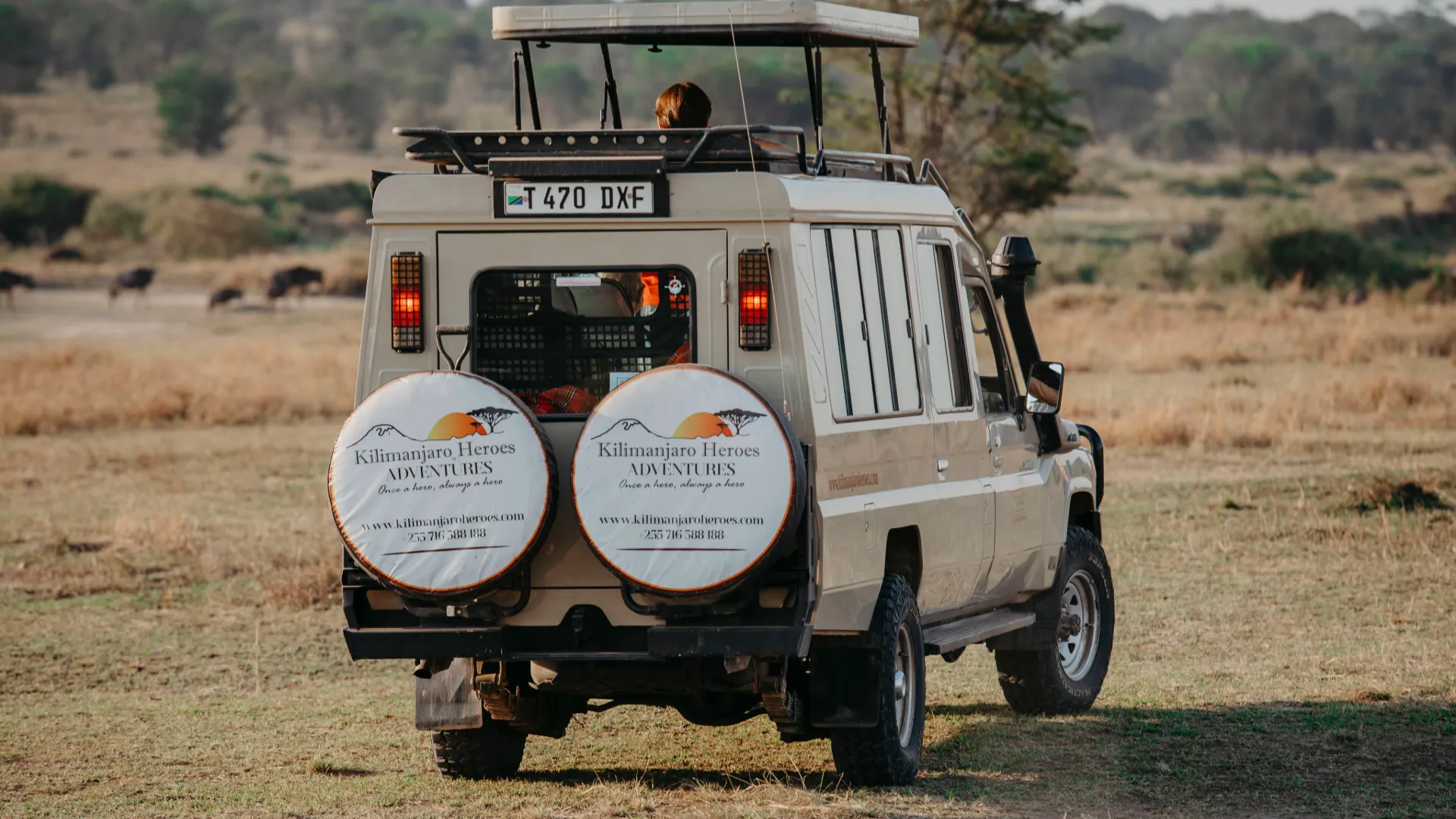 Tanzania Safari Cost