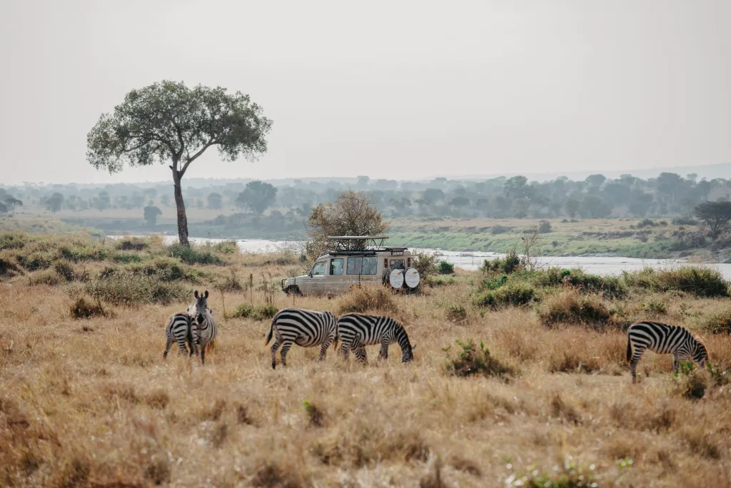 Best Time To Visit Tanzania