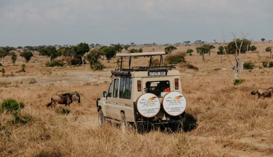 Best Time for Tanzania Safari