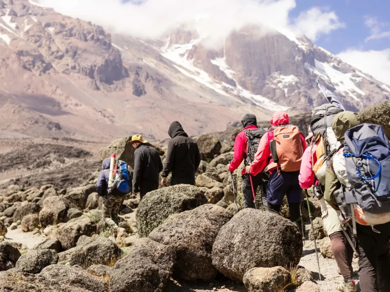 Best Time to Climb Kilimanjaro