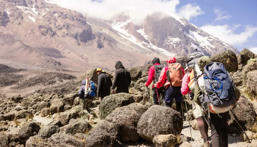 Best Time to Climb Kilimanjaro