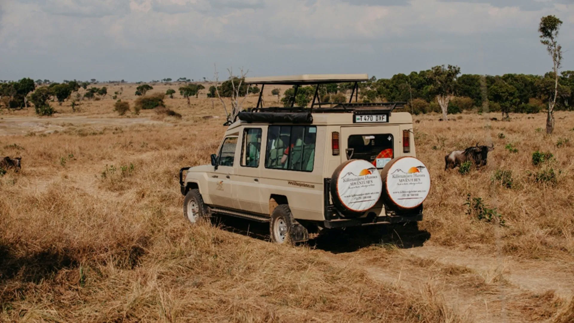 Best Time to Visit Tanzania