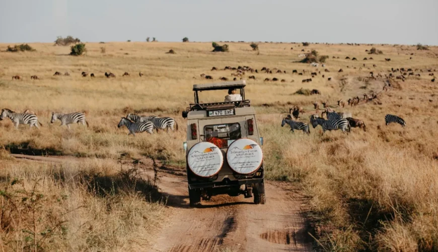 Best Time to Visit Tanzania