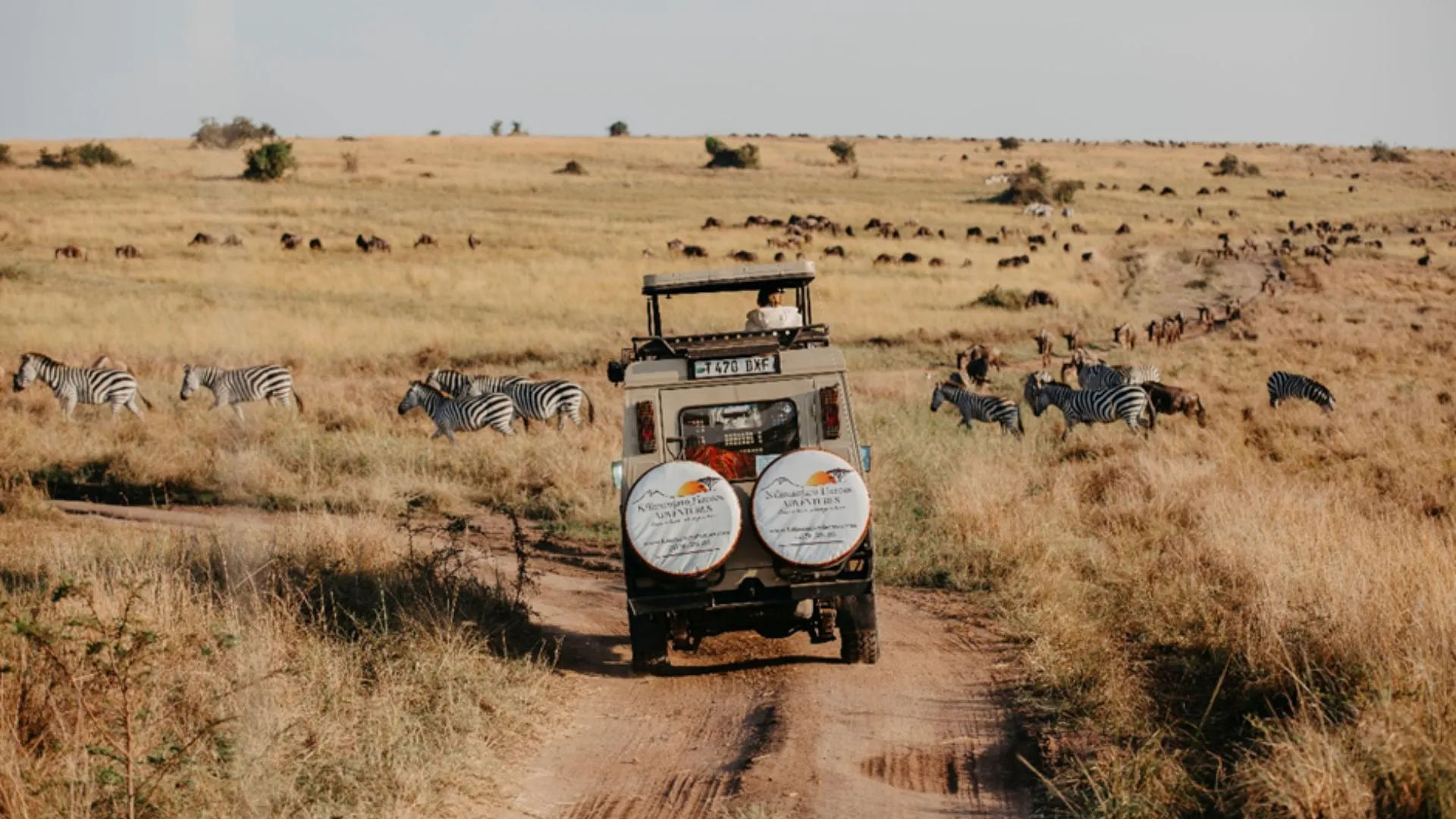 Best Time to Visit Tanzania