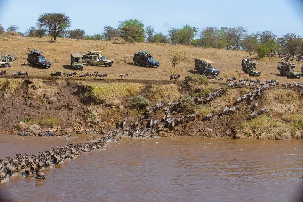 Great Migration in Tanzania