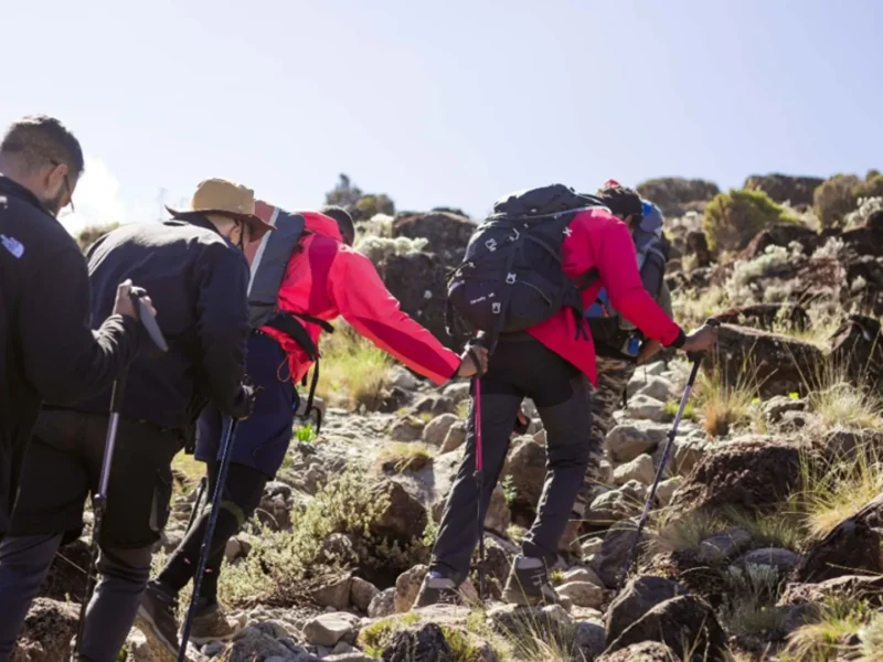 Mount Kilimanjaro Climbing