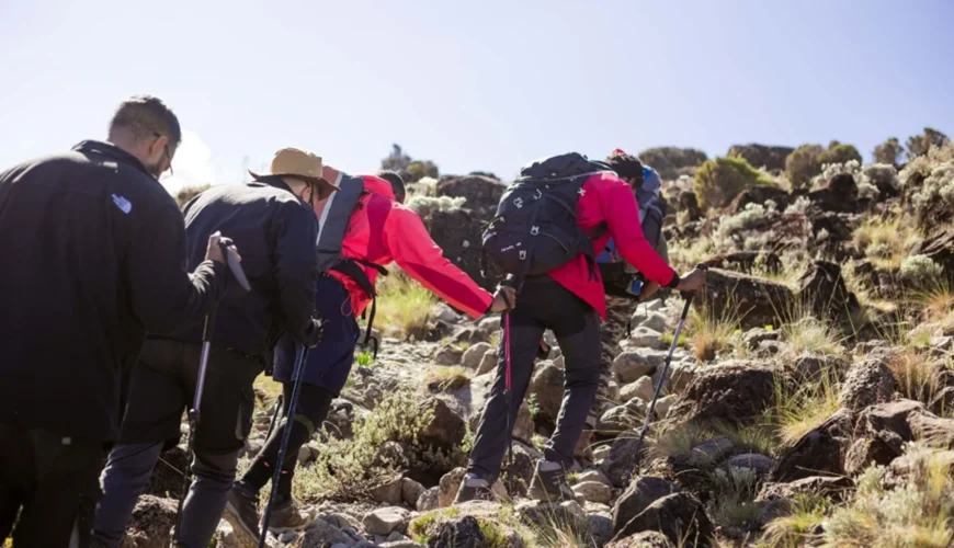 Mount Kilimanjaro Climbing