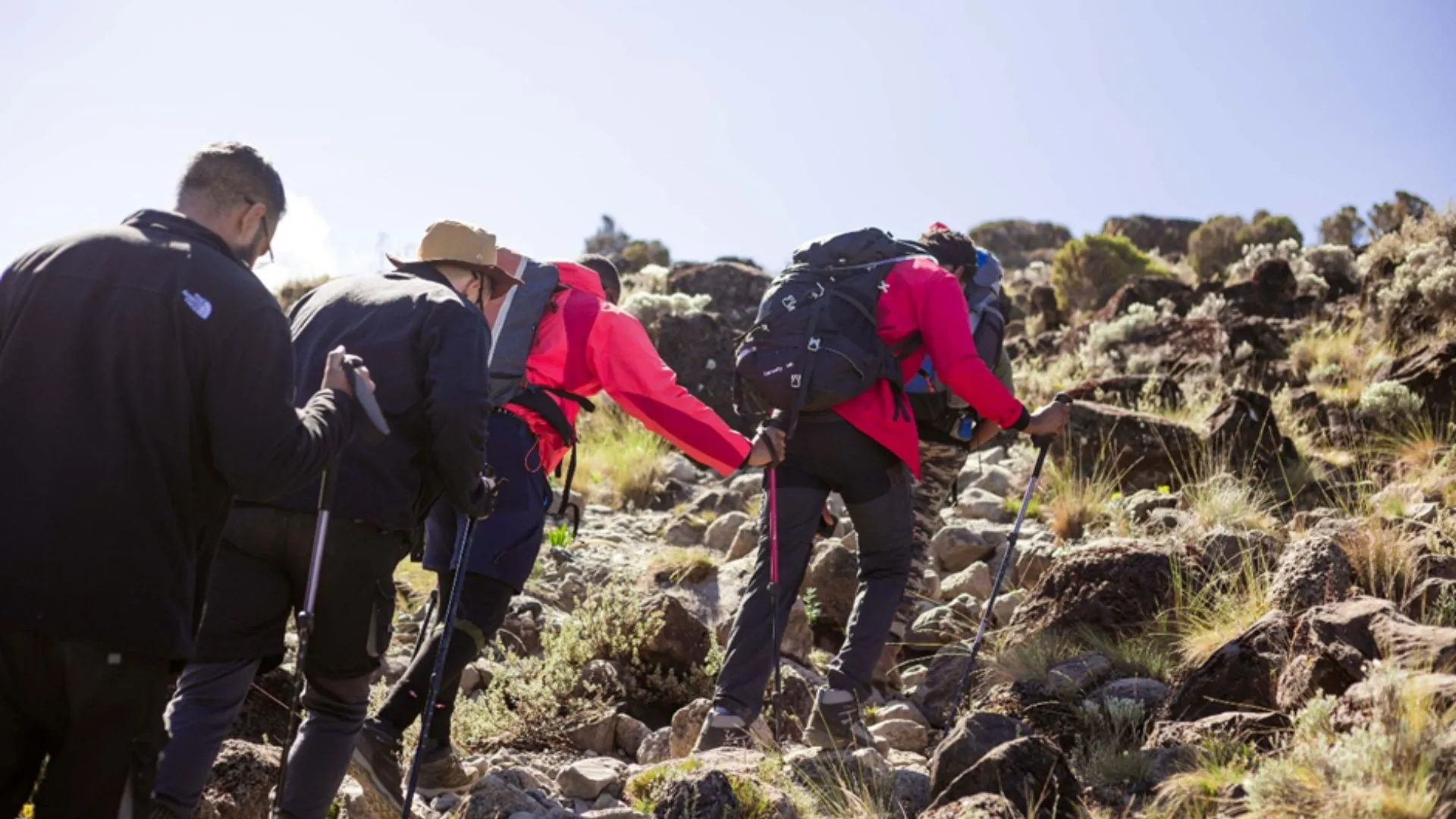 Mount Kilimanjaro Climbing