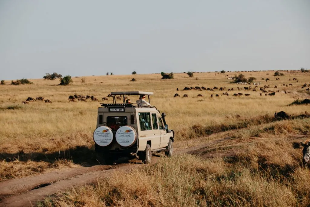 Tanzania Safari