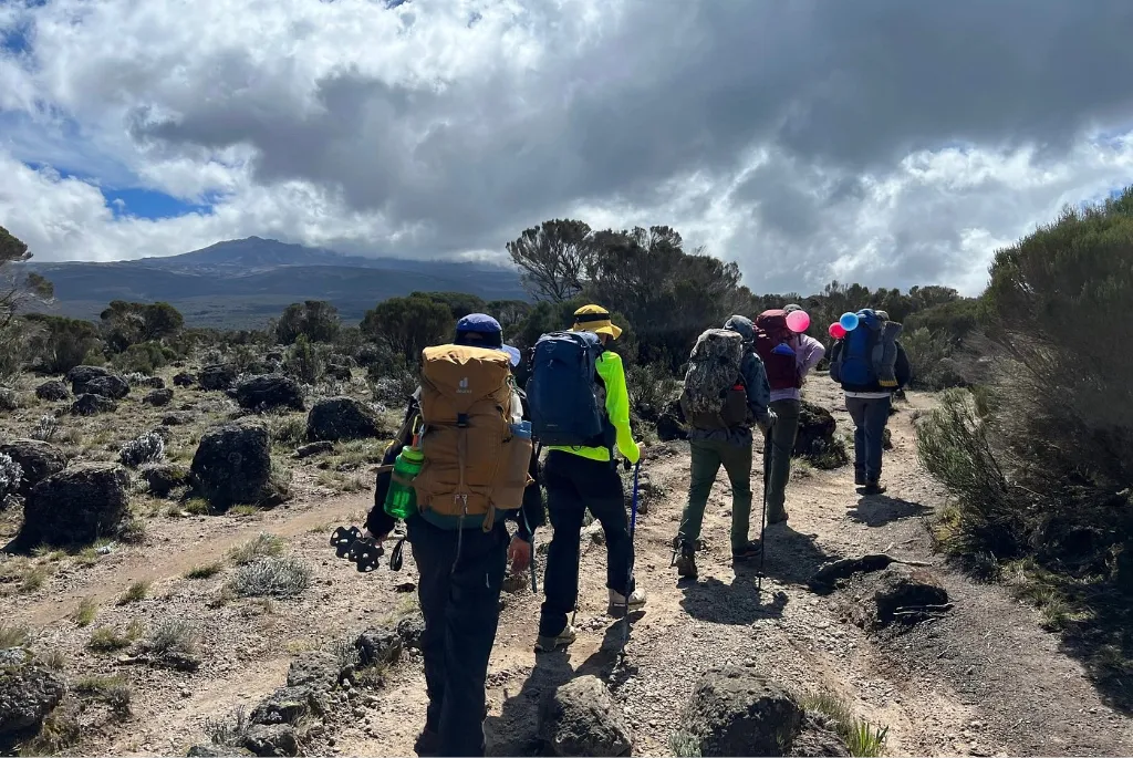 When Is the Best Time to Climb Mount Kilimanjaro