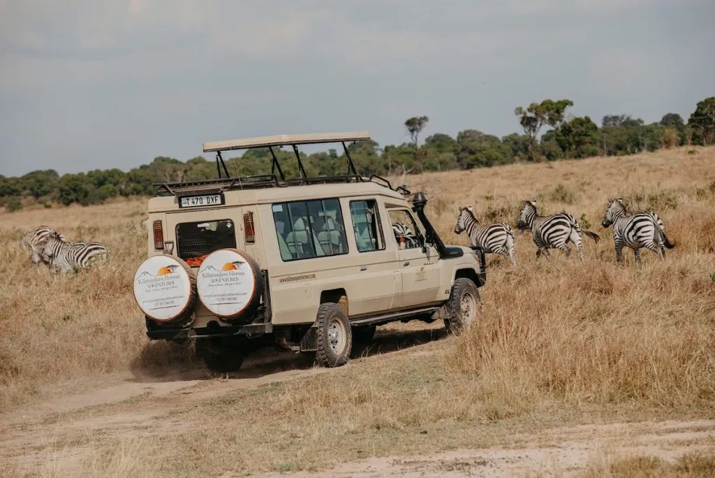 Great Wildebeest Migration Serengeti