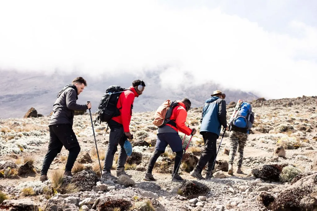 Kilimanjaro Climbing Tours