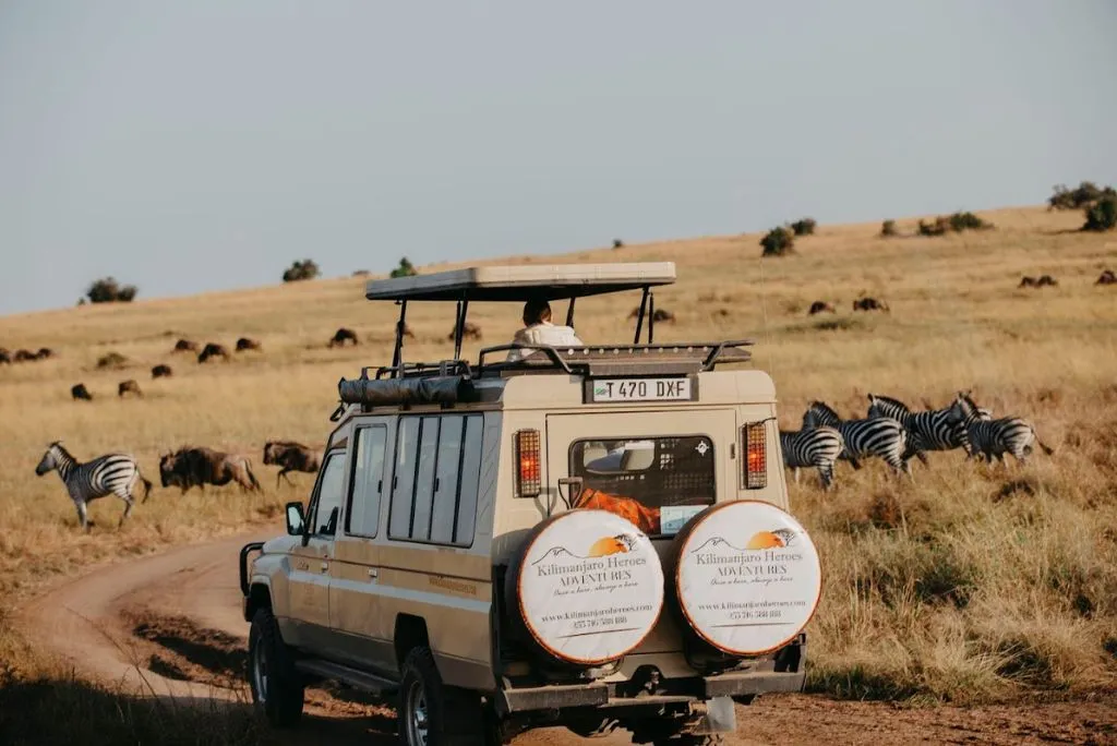 Serengeti Migration Safari