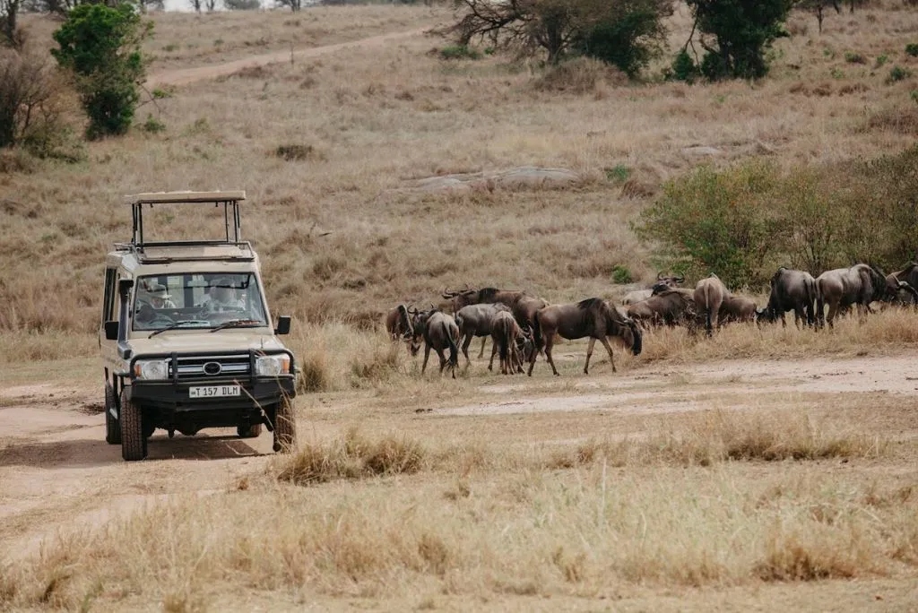 Tanzania National Park