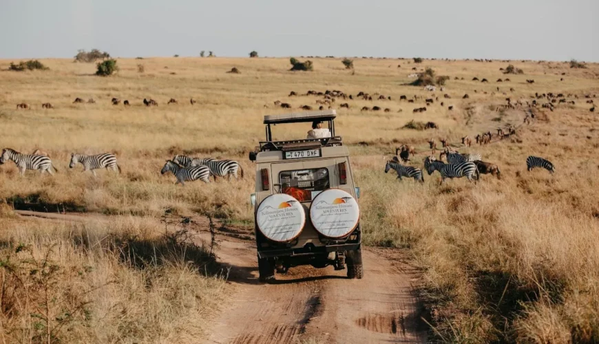Tanzania vs Kenya Safaris