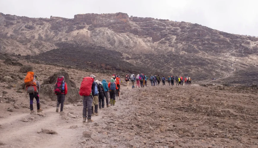 Kilimanjaro Climbing Packages