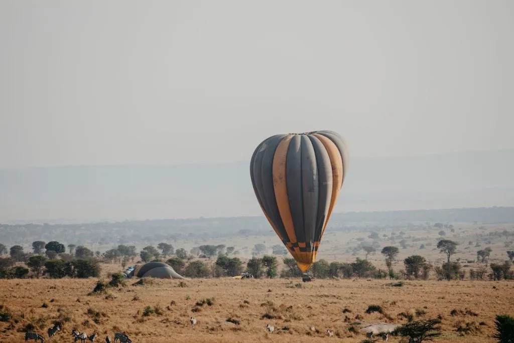 Tanzania Safari Activities