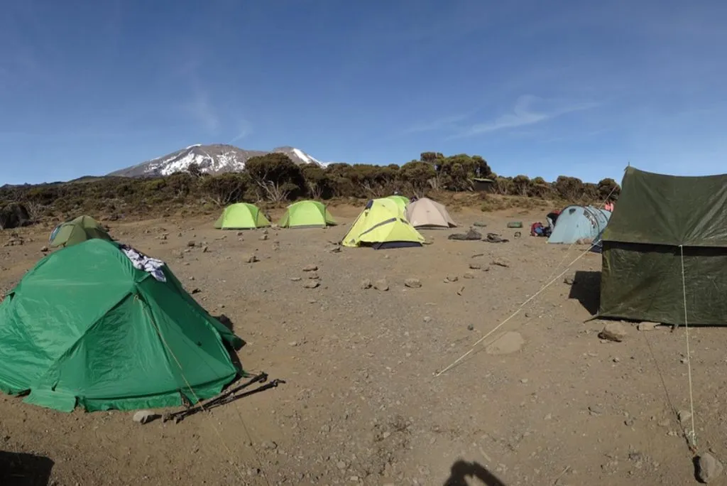 Kilimanjaro Climbing Tour