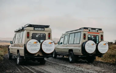 Best Safari Tour in Tanzania