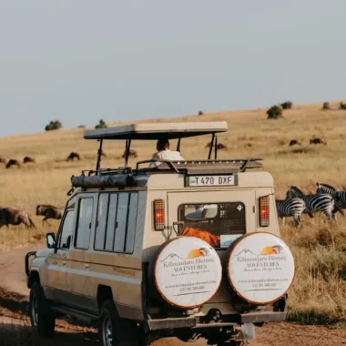 Serengeti Migration Safari