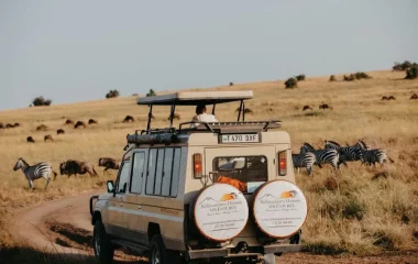 Tips for First-Time Travellers