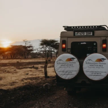 ruaha-national-park5